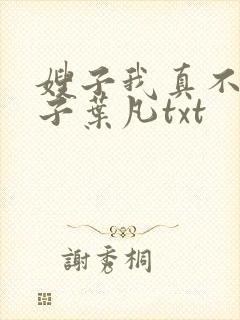 嫂子我真不是傻子叶凡txt