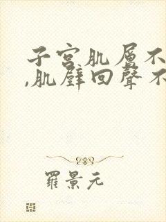 子宫肌层不光滑,肌壁回声不均匀