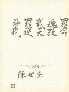 斗罗武魂罗三炮我逆天改命