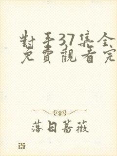 对手37集全集免费观看完整版高清