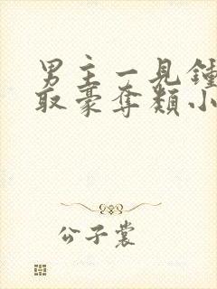 男主一见钟情强取豪夺类小说