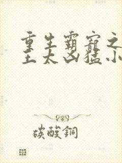 重生霸宠之摄政王太凶猛小说