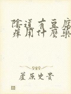 阴道有豆腐渣瘙痒用什么药