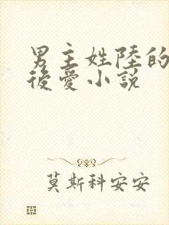 男主姓陆的先婚后爱小说