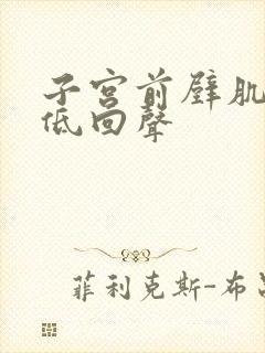 子宫前壁肌壁间低回声