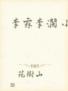 李霖李澜 小说