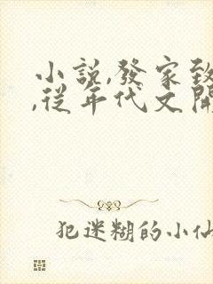 小说,发家致富,从年代文开始