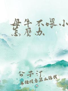 母牛不喂小牛奶怎么办