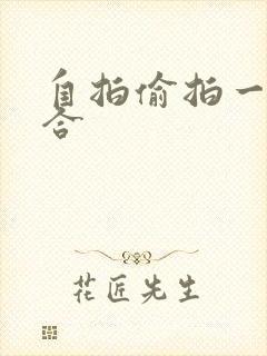 自拍偷拍一区综合