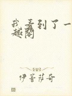 我看到了一切笔趣阁