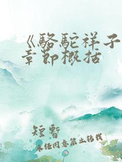 《骆驼祥子》每章节概括