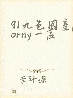 91九色国产porny一区