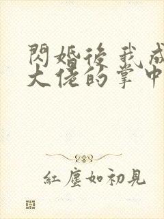 闪婚后 我成了大佬的掌中之物