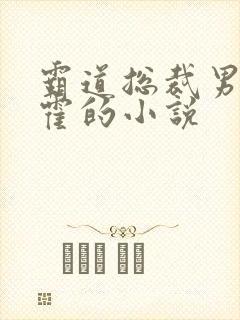 霸道总裁男主姓霍的小说