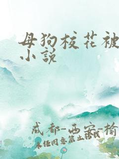 母狗校花被调教小说