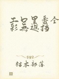 工口里番全彩全彩无遮挡