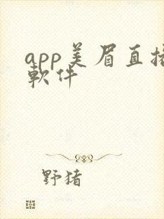 app美眉直播软件