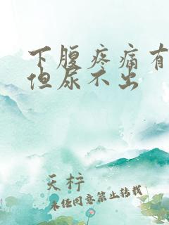 下腹疼痛有尿意但尿不出