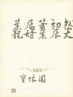 叶辰萧初然上门龙婿叶辰大结局