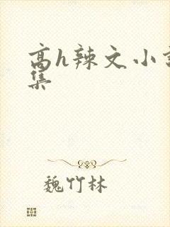 高h辣文小说合集