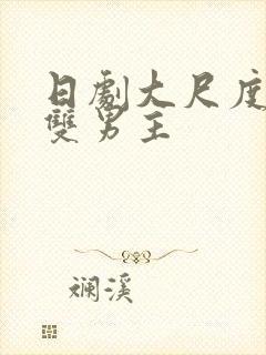 日剧大尺度推荐双男主