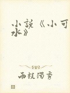 小说《小可的奶水》