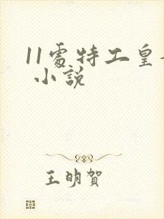 11处特工皇妃 小说
