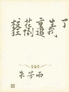 校花重生了,疯狂倒追我