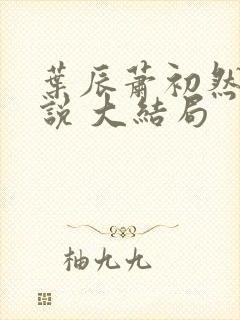 叶辰萧初然 小说 大结局