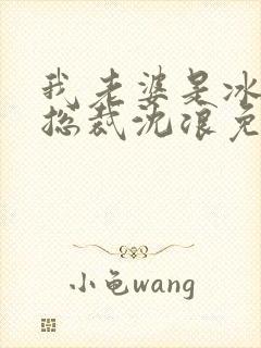 我老婆是冰山女总裁沈浪免费阅读