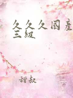 久久久国产精品三级