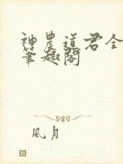 神农道君全文无笔趣阁