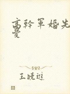 高干军婚先婚后爱