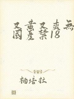 又黄又爽无遮挡国产禁18