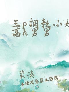 三p调教小嫩苞高h男男