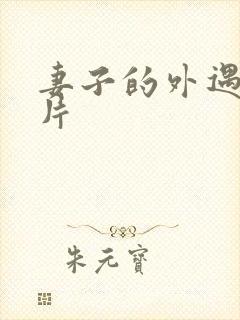 妻子的外遇伦理片