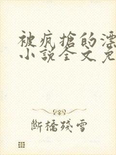 被疯抢的漂亮攻小说全文免费阅读无弹窗