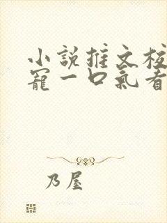 小说推文校园甜宠一口气看完