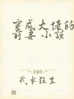 穿成大佬的私奔前妻 小说