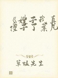 《嫂子我真不是傻子了叶凡》