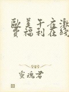 欧美午夜激情免费福利在线网