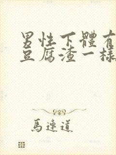 男性下体有白色豆腐渣一样的东西