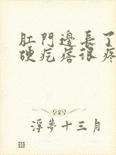 肛门边长了一个硬疙瘩很疼