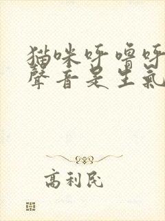 猫咪呼噜呼噜的声音是生气还是高兴