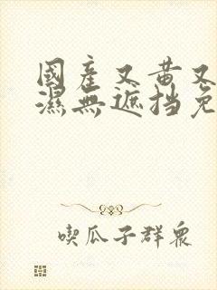 国产又黄又爽又湿无遮挡免费视频