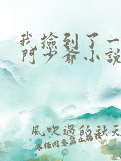 我捡到了一对豪门少爷小说免费阅读