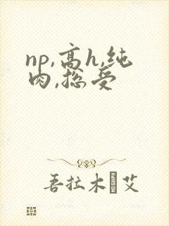 np,高h,纯肉,总受