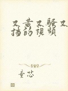 又黄又骚又无遮挡的视频