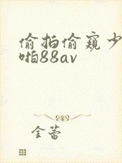 偷拍偷窥少妇啪啪88av