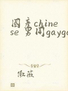 国产chinese 男同gaygay 网站